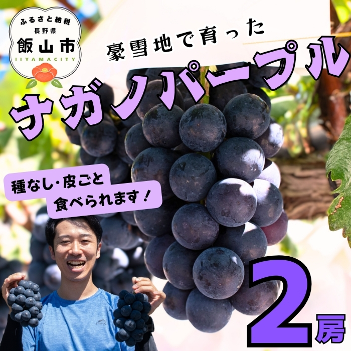 【2026年発送 先行予約】 飯山市産 ナガノパープル 2房《 2026年10月〜発送 》（約1kg）（Bv-001） | 長野県 飯山市 おすすめ ランキング おいしい 高評価 大人気 ギフト 産地直送 ぶどう