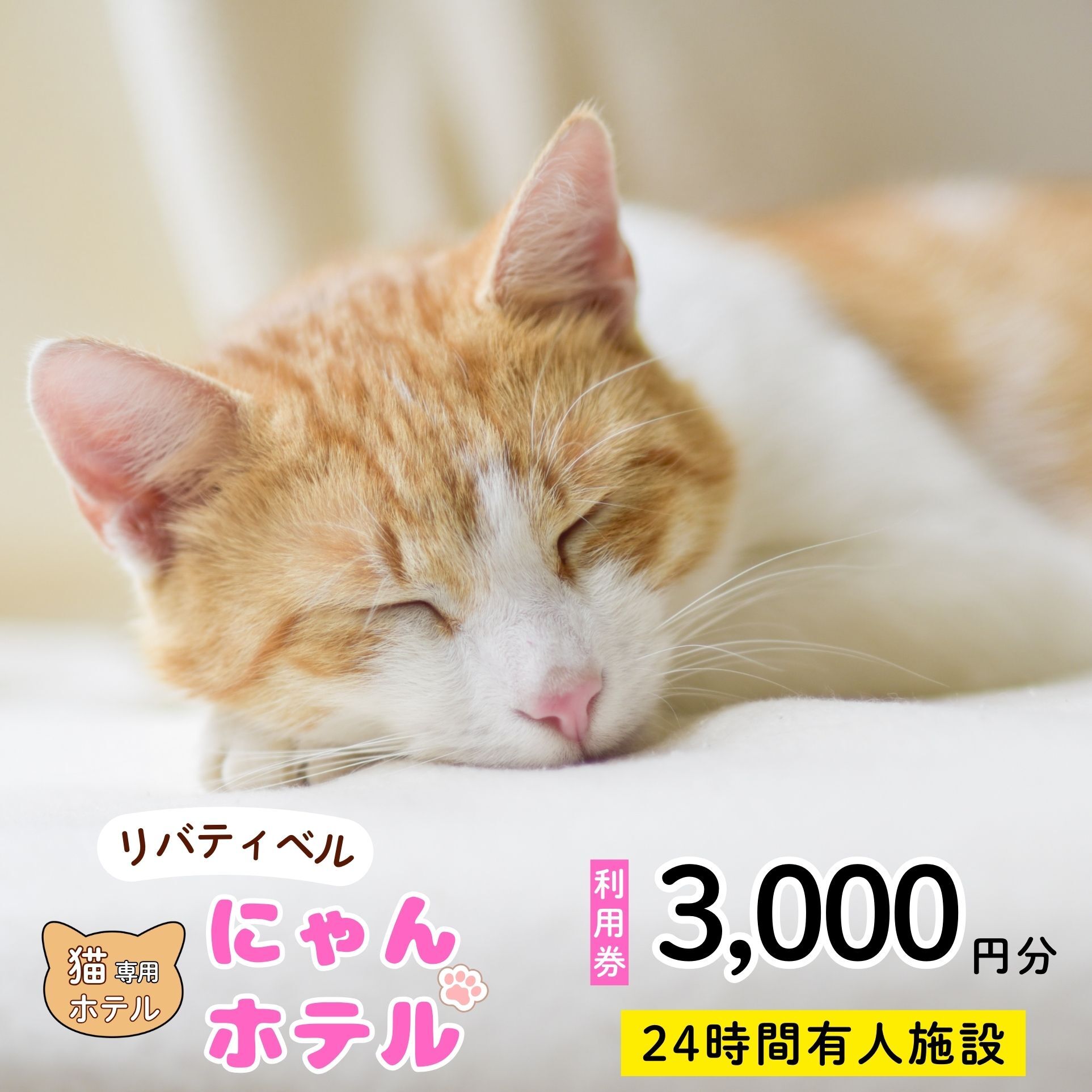 【長野県飯山市】にゃんほてる（猫専用ペットホテル） リベティベル 利用券3,000円分（T-17）
