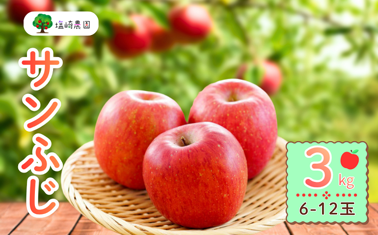 [先行予約]サンふじ 約3kg (6?12玉)(2025年12月上旬から発送)りんご サンふじ 限定 直送 好評 (7-A41-1)