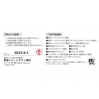 東急リゾートタウン蓼科利用券(1,000円分×9枚)2025年9月1日から6か月間有効チケット