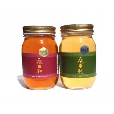 信州産アカシアはちみつ600g・百花はちみつ600gセット