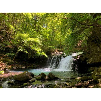 アルピコリゾート＆ライフ 特定施設利用券　1,000円券×9枚