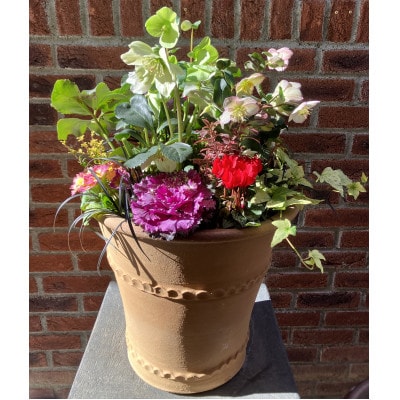 蓼科高原バラクライングリッシュガーデン季節の寄植え(コンテナガーデン)C