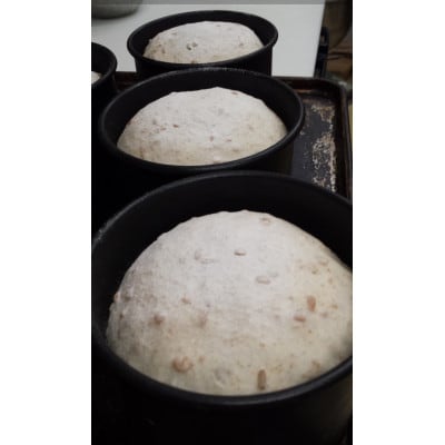 信州産玄麦 玄さんパン 4個【配送不可地域：離島】