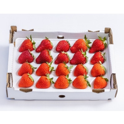 【天空のいちご】おまかせ2～3品種(L～LLサイズ/20～24玉入り×1箱)【6月より順次発送】【配送不可地域：離島】