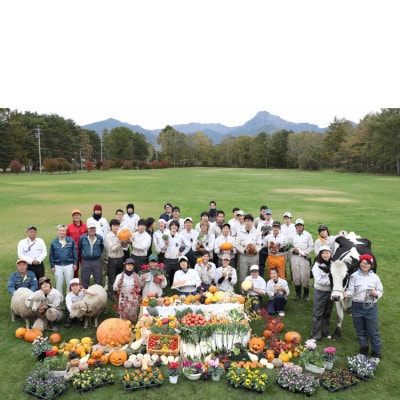 八ヶ岳農場 復刻版バニラアイス 6個【配送不可地域：離島】