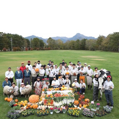 八ヶ岳農場 生ソフトクリームアイス 18個【配送不可地域：離島】