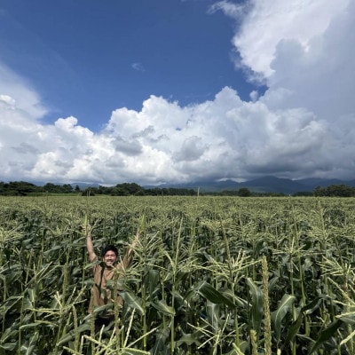 【2025年最終受付】メロンのように甘い 生とうもろこし 10本　「味来」「サニーショコラ」【配送不可地域：離島】