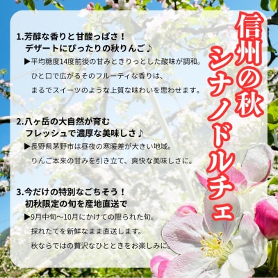 【2026年先行受付】長野直送!信州八ヶ岳のりんごシナノドルチェ約5kg(12～18玉)蓼科高原果物【配送不可地域：離島】