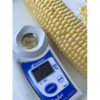 【訳あり】朝採れ 八ヶ岳生とうもろこし はねだし10本(約3kg)〈26年7月～9月下旬発送予定〉【配送不可地域：離島】