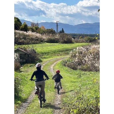 マウンテンバイク一日ガイドツアー　ランチ＆レンタルバイク込　1日プラン×3回　1名様
