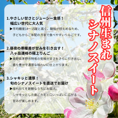 【2026年先行受付】長野直送!信州八ヶ岳のりんごシナノスイート約10kg(24～36玉)蓼科高原
