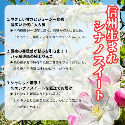 【2026年先行受付】長野直送!信州八ヶ岳のりんごシナノスイート約5kg(12～18玉)蓼科高原【配送不可地域：離島】