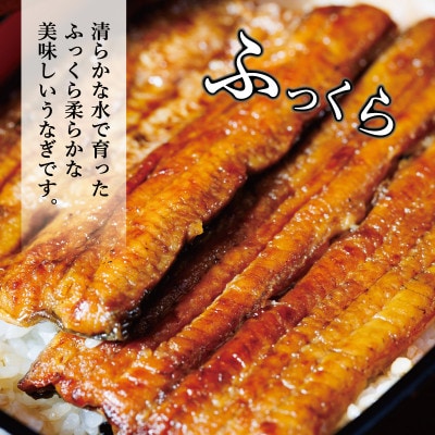 国産　うなぎ　1尾　真空パック【配送不可地域：離島】