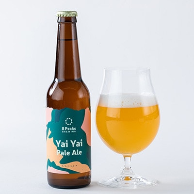 【毎月定期便】八ヶ岳山麓のクラフトビール3種6本セット【食事に合う】【深いコクの黒ビール入り】全3回【配送不可地域：離島】