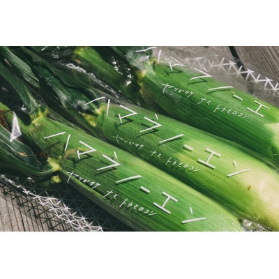 【先行予約】朝採れ八ヶ岳生とうもろこし20本【複数個口で配送】【配送不可地域：離島】