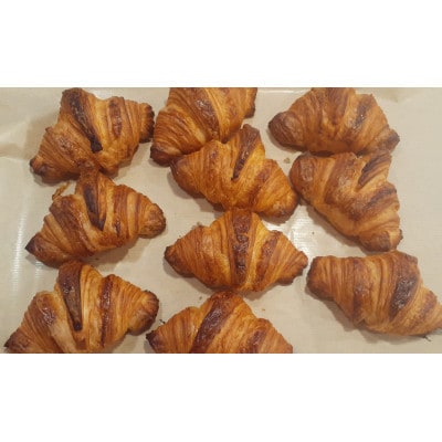 【毎月定期便】信州産小麦のクロワッサン 10個全2回【配送不可地域：離島】