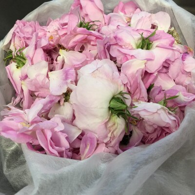 薔薇香る乳液(オールドローズミルクローション)蓼科高原産ローズ水を贅沢配合!