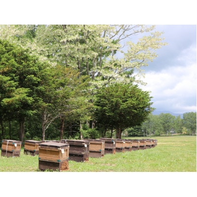 信州産アカシアはちみつ600g・百花はちみつ600gセット