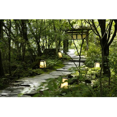 藍染と懐石料理の宿　たてしな藍　「山味懐石料理」ペア食事券