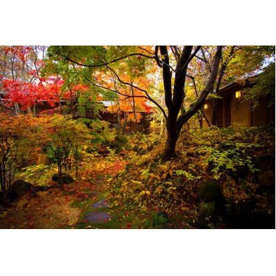 藍染と懐石料理の宿　たてしな藍　ペア昼食券