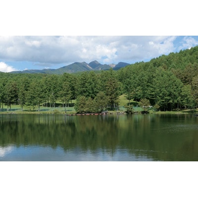 チェルトの森別荘管理特定作業利用券9,000円分(1,000円分×9枚)