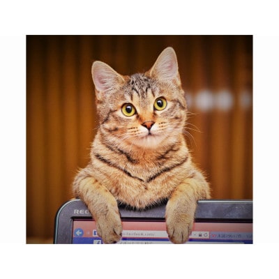 【3種類の鍋料理から選べます】1泊2食付き　ツインルーム　ペア宿泊チケット