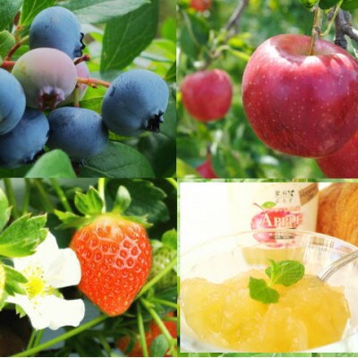 信州蓼科高原産果実の手作りジャム(プレザーブスタイル)140g入り3種類詰め合わせ