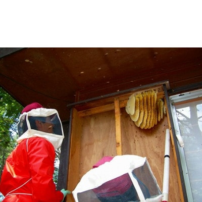 蓼科ビレッジ別荘管理特定作業利用券【1,000円×9枚】