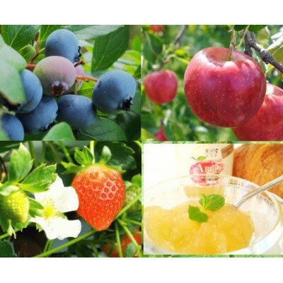 信州蓼科高原産果実の手作りジャム(プレザーブスタイル) 70g×3種セット(袋入り)