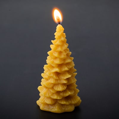 【ギフトセット】純粋はちみつ×蜜ろうキャンドル(モミの木)