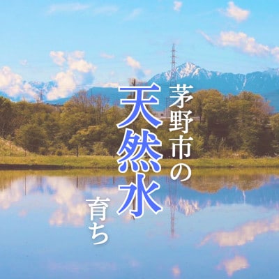 霧ヶ峰の水が育んだお米(レンジアップごはん)10個