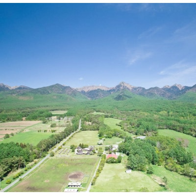 八ヶ岳農場 生ソフトクリームアイス 6個【配送不可地域：離島】