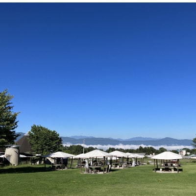 八ヶ岳農場 生ソフトクリームアイス 12個【配送不可地域：離島】