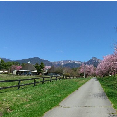 八ヶ岳農場 生ソフトクリームアイス 18個【配送不可地域：離島】