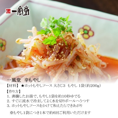 簡単!人気!万能調味料 ホットもやしソース・秘伝のとんこつダシ 各2本 オリジナルギフトボックス入り