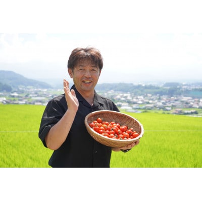 高原育ちのフルーツミニトマト サマー千果 約2kg【配送不可地域：離島】