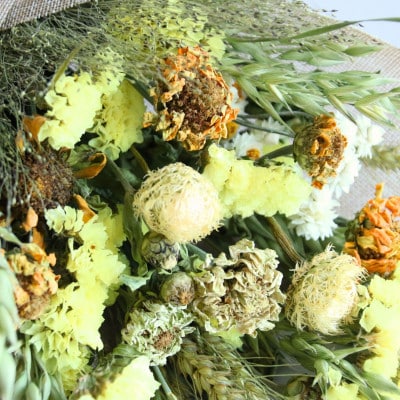 信州八ヶ岳の麓から贈るドライフラワースワッグS(イエロー)