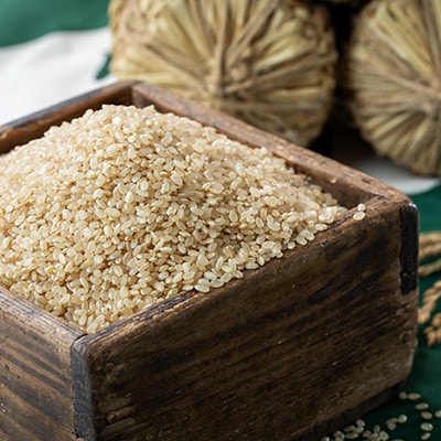 霧ヶ峰高原からの伏流水が育んだお米「信州茅野　米沢吉田米」玄米10kg(5kg×2袋)