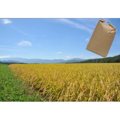 長野県産特別栽培米　コシヒカリ　精米　5kg