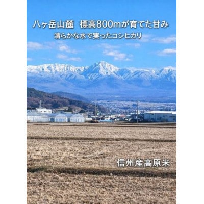 【令和7年産】信州八ヶ岳山麗 長野県産コシヒカリ 精米10kg(5kg×2袋)