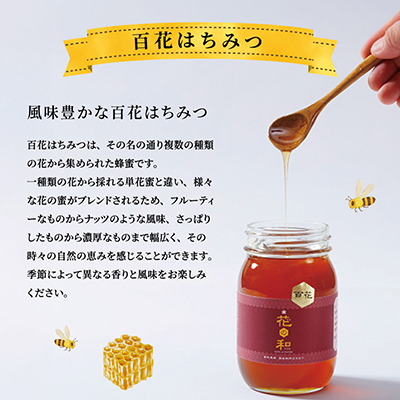 信州産アカシアはちみつ600g・百花はちみつ600gセット