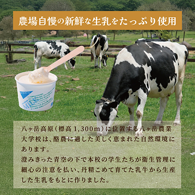 八ヶ岳農場 生ソフトクリームアイス 12個【配送不可地域：離島】