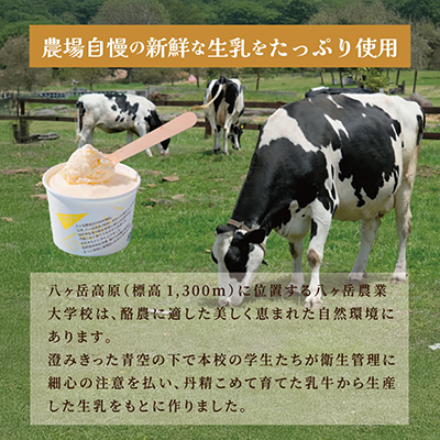 八ヶ岳農場 復刻版バニラアイス 12個【配送不可地域：離島】