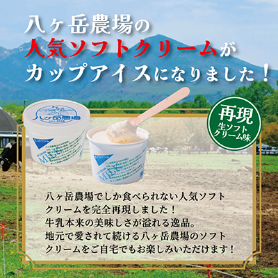 八ヶ岳農場 バニラ＆生ソフトクリームアイス 味比べセット　各6個・2種類(合計12個)【配送不可地域：離島】