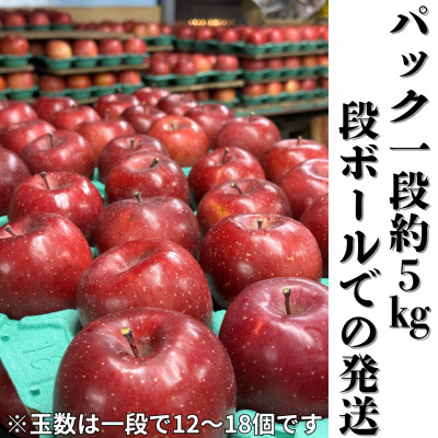 【2026年先行受付】長野直送!信州八ヶ岳のりんごシナノリップ約5kg(12～18玉)蓼科高原果物【配送不可地域：離島】