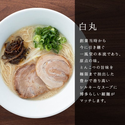 【毎月定期便】一風堂 豚骨ラーメン白丸1食箱×2箱 とんこつ 博多細麺 紅しょうがペッパー付全3回