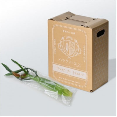 【発送月固定定期便】【2026年発送】朝採れ 八ヶ岳生とうもろこし 10本全3回【配送不可地域：離島】