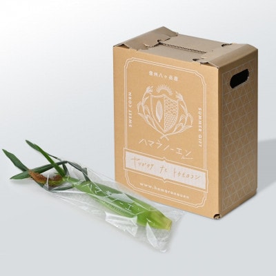 【先行予約】朝採れ八ヶ岳生とうもろこし20本【複数個口で配送】【配送不可地域：離島】