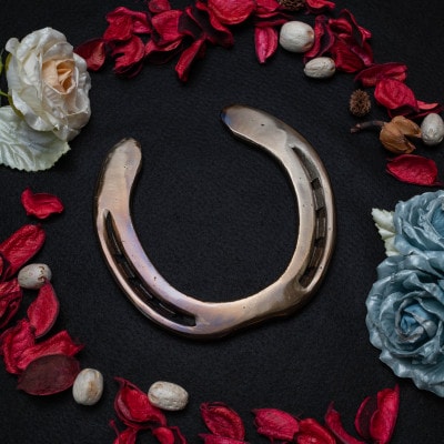 【幸運を呼ぶホースシュー】カラー:ゴールド